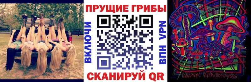 kraken ONION  Свирск  Псилоцибиновые грибы мухоморы 